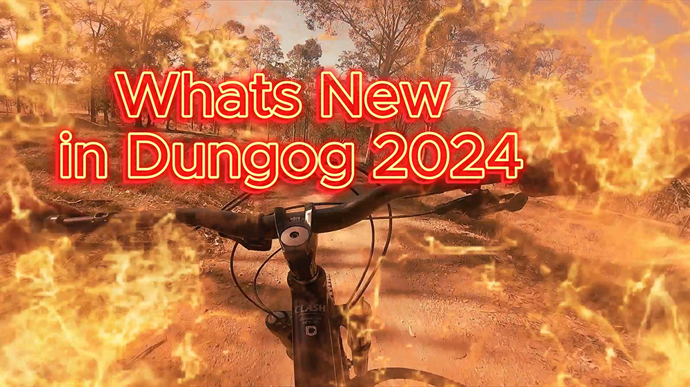 Dungog News 2024