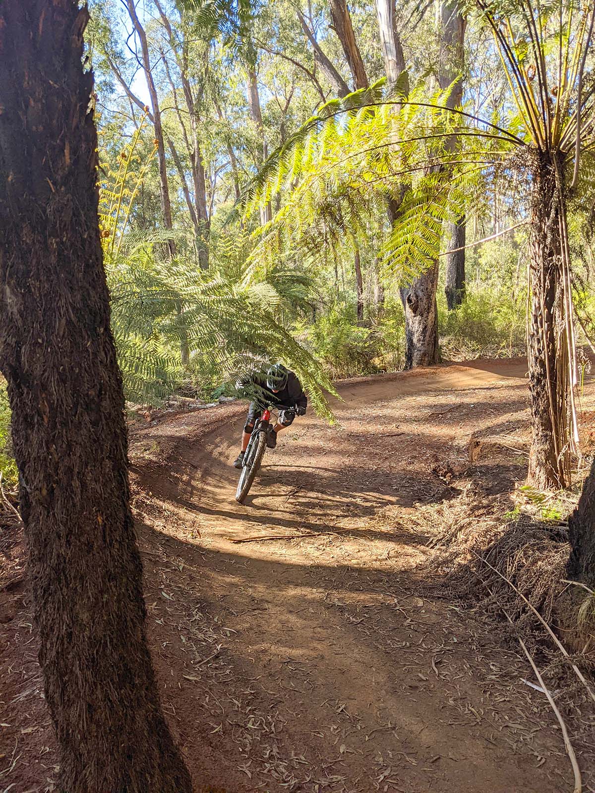 Riding the new Berms 