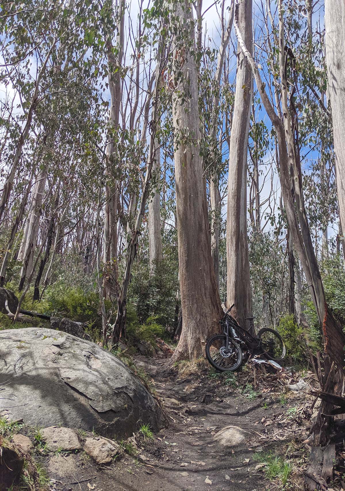 Commencal SX with Snowgums and a bit of snow