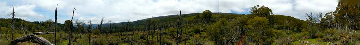 Lake Mountain Panorama